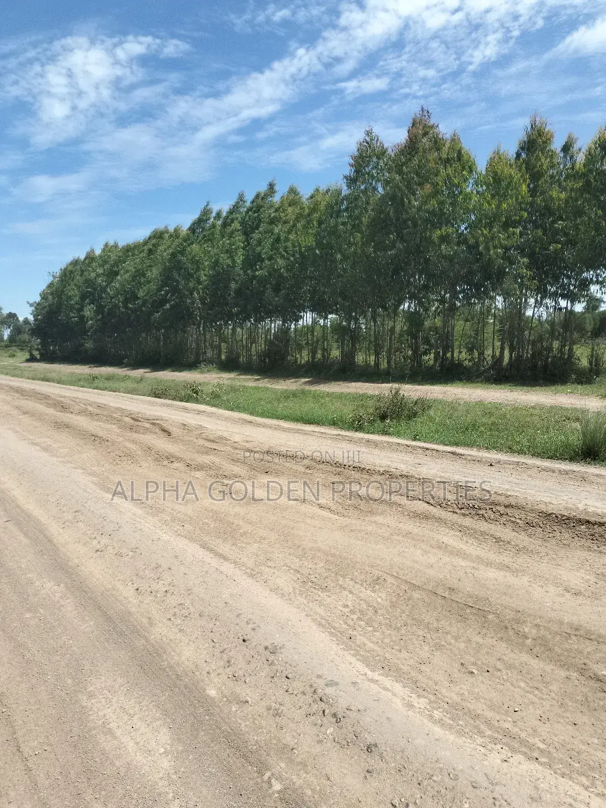 Olpajeta, 2 Acre Sitting on the Olpajeta Murrum Road