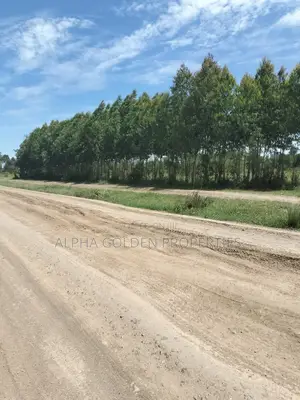 Olpajeta, 2 Acre Sitting on the Olpajeta Murrum Road