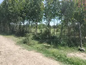 Olpajeta, 2 Acre Sitting on the Olpajeta Murrum Road