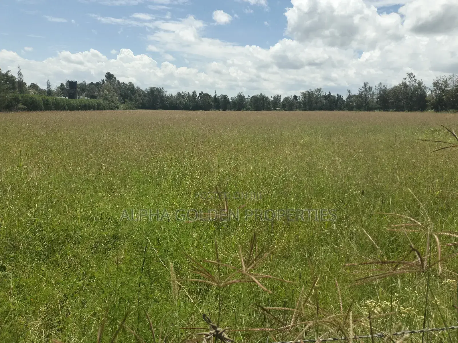 Nanyuki Airstrip, 4 Acres on Tarmac