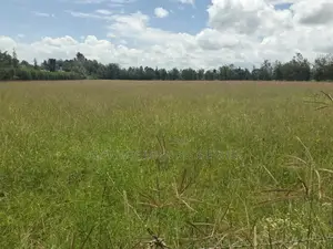 Nanyuki Airstrip, 4 Acres on Tarmac
