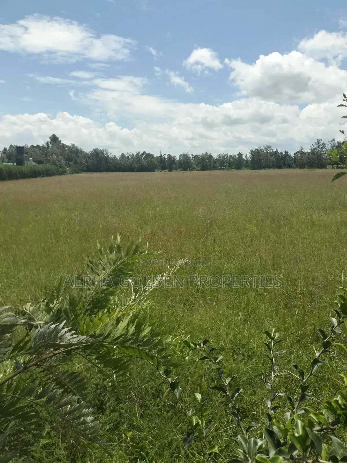 Nanyuki Airstrip, 4 Acres on Tarmac