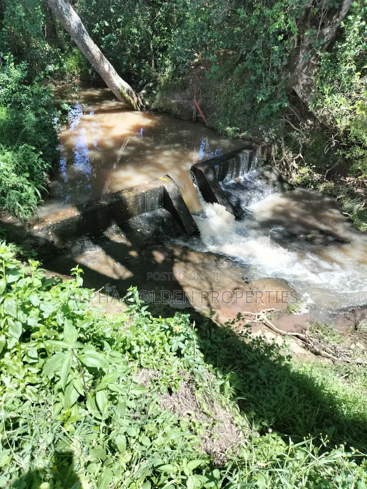 Nanyuki, 3 Acres Touching River