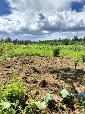 Nanyuki, 3 Acres Touching River