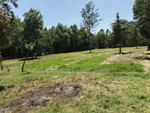 Nanyuki , 8 Acres Touching Tarmac and River