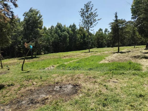 Nanyuki , 8 Acres Touching Tarmac and River