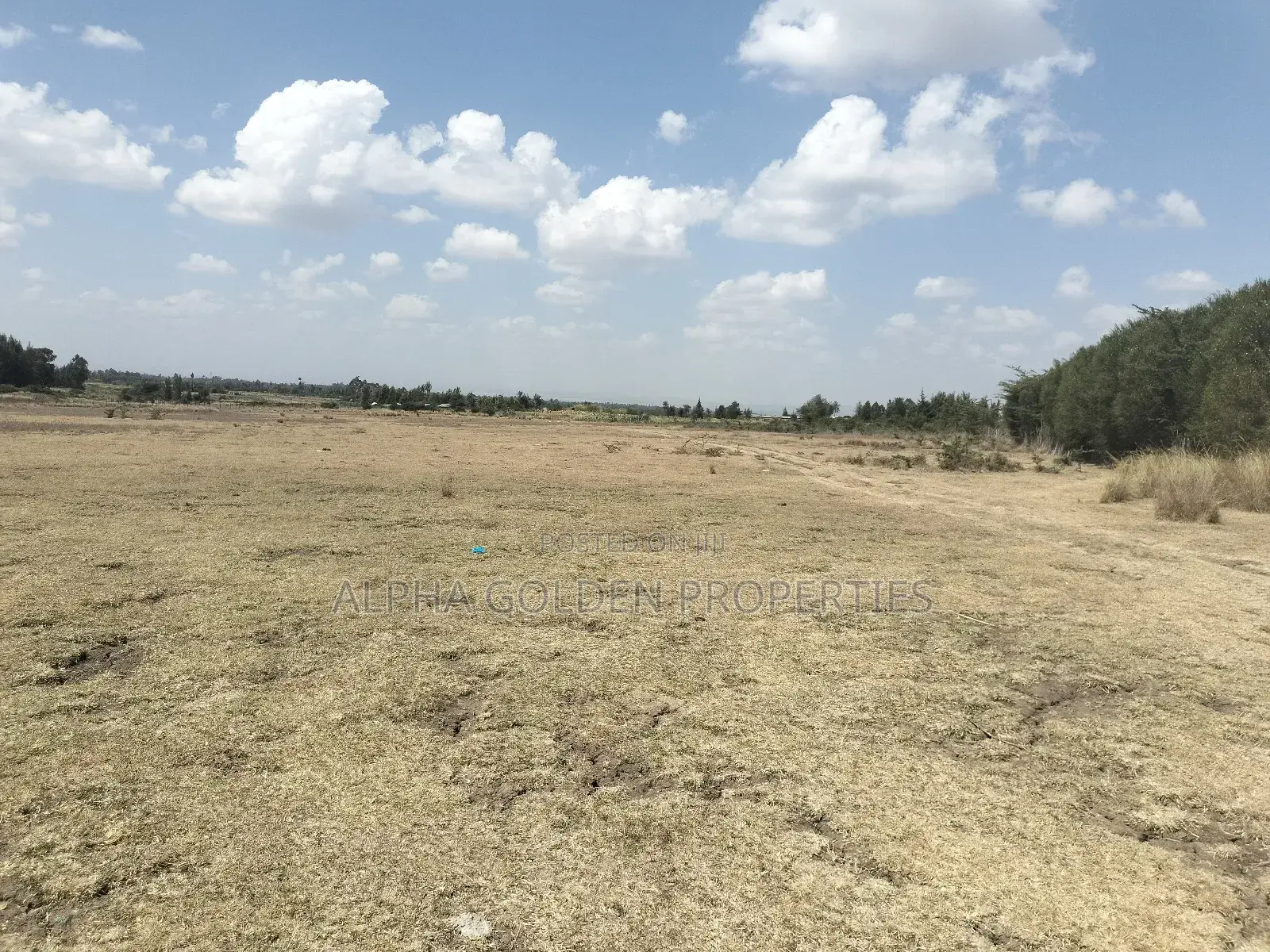 Nyahururu 18 Acres Land