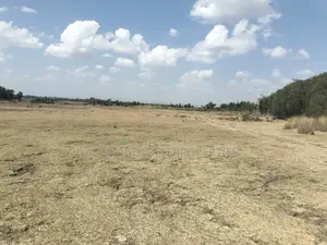 Nyahururu 18 Acres Land