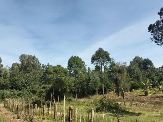 Nanyuki 11 Acres Near Mt Kenya - thumbnail 2