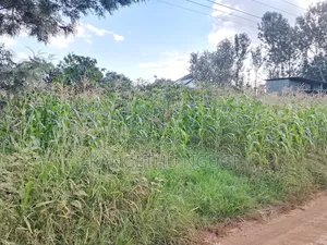 Quarter Acre Residential Plot Mugumo Estate, Kiambu