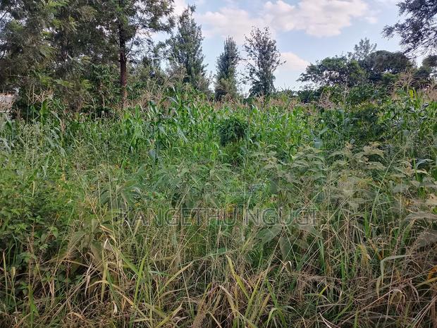 Quarter Acre Residential Plot Mugumo Estate, Kiambu - thumbnail 3