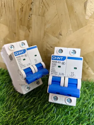 Chint 63a Double Pole