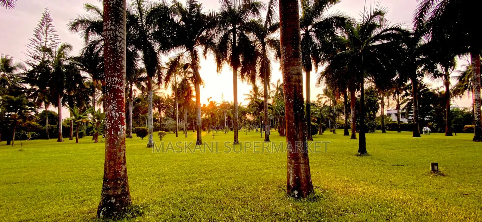 14bdrm Villa in Neptune, Diani for sale
