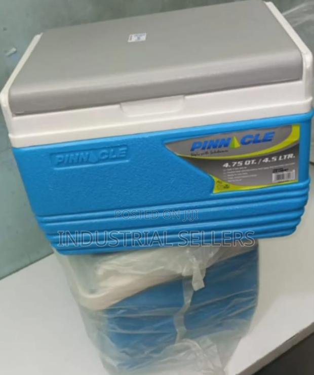 Amazing Cooler Box 4.5l