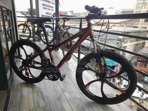 Japanese Haro (Flightline) Size 24 Aluminum Mountain Bike