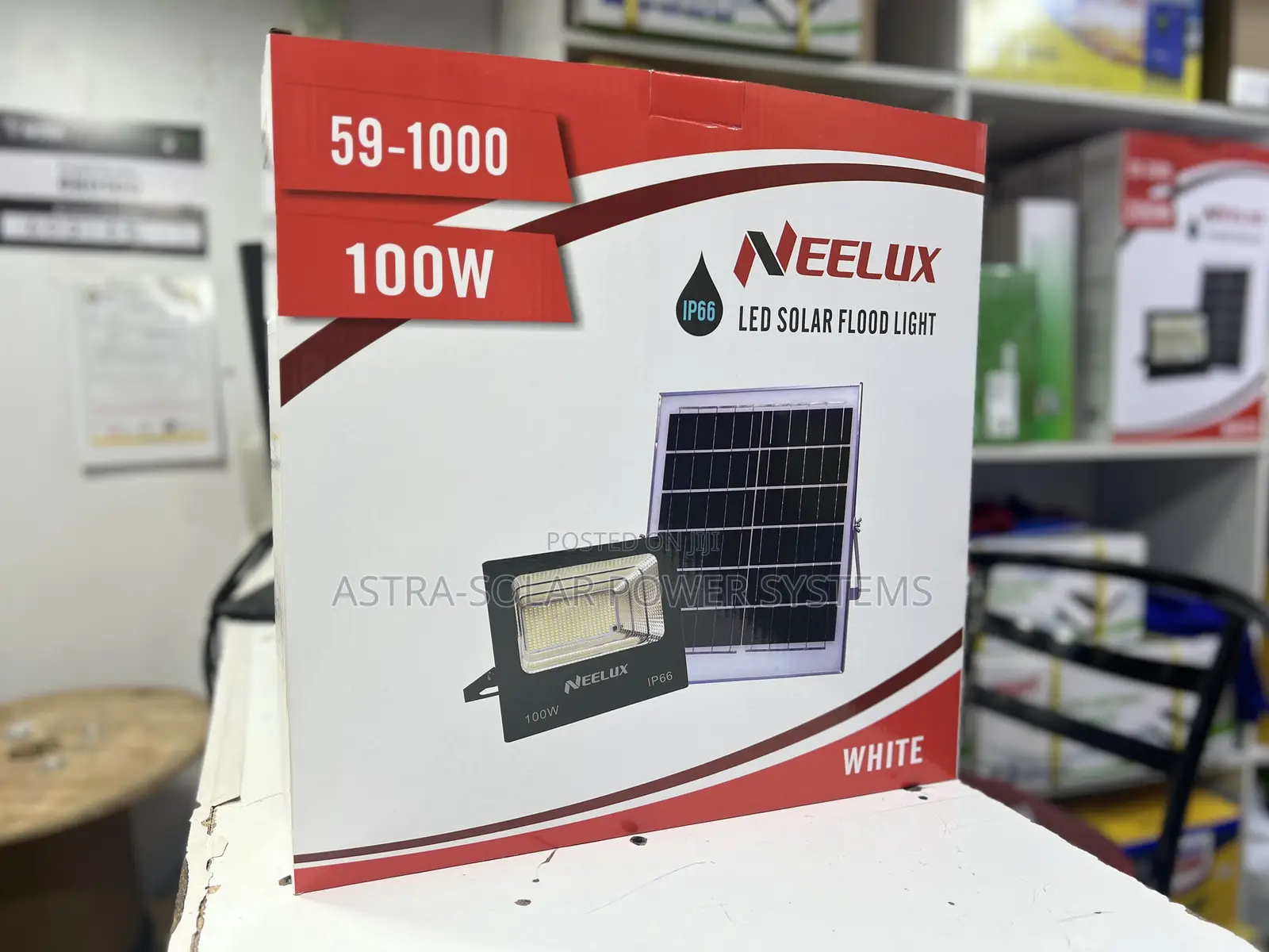 Neelux 100w Solar Flood Light