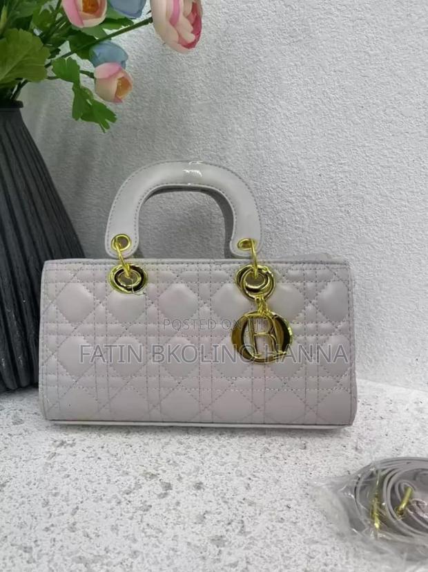 Pretty Dior Bag - main view