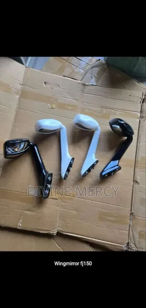 Universal Wing Mirrors