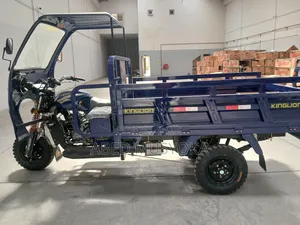 New Tricycle 2025 Blue