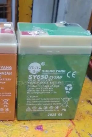 6v Battery / Battery 6v
