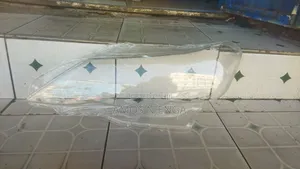 Mark X 2010 Headlight Lens