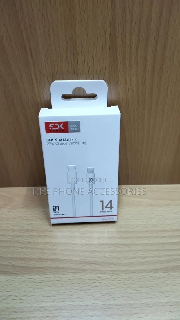 FDK Type C to Lightning Cable - main view