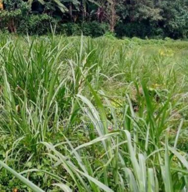 Plot for Sale Gitaru Kikuyu - thumbnail 2
