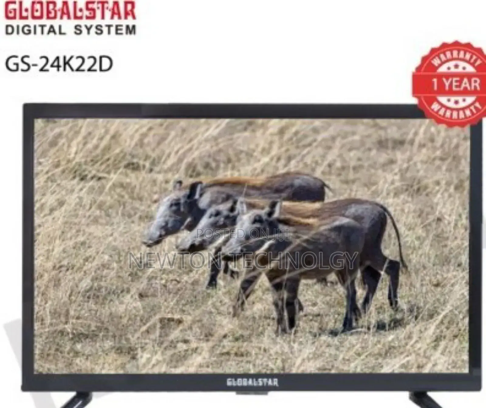 Digital Tv 24inches Globalstar