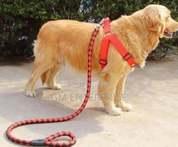 Medium Size Dog Leash** Dog Leash*
