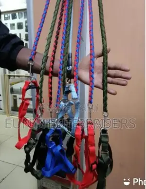 Medium Size Dog Leash** Dog Leash*.