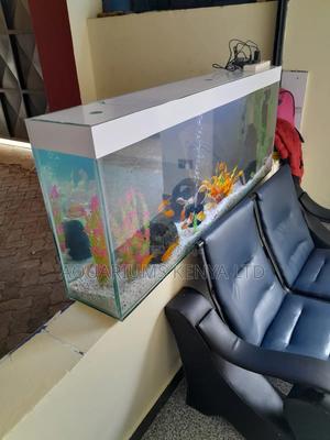 5ft Wall Divider Aquarium Complete Set - thumbnail 2