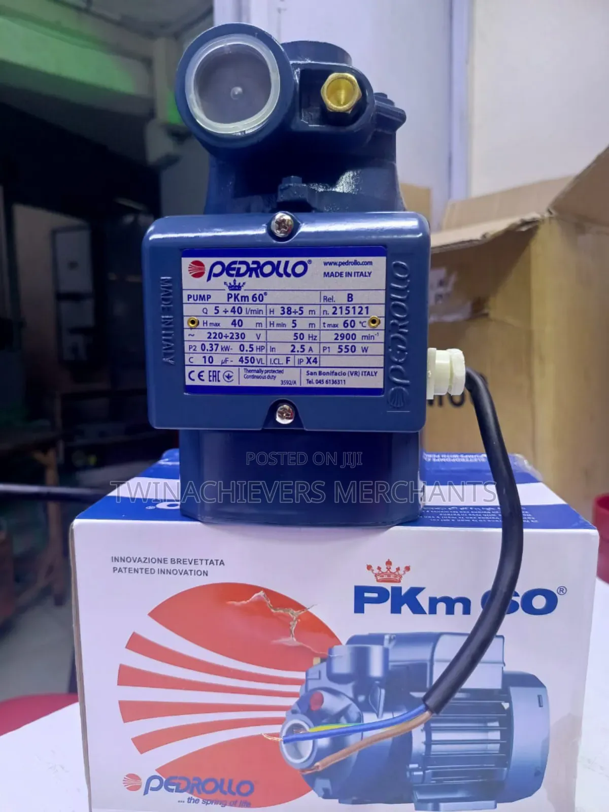 0.5hp Electric Water Pump/Pedrollo Water Pump