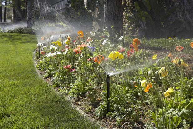 Hunter 1/2" Prospray Pop-Up Sprinkler 15a- 4.5 MTS Radius - thumbnail 4
