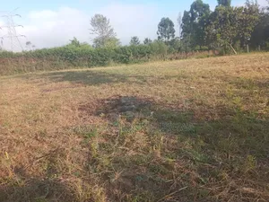 2 Plots of 50by100 Sale at Ruai Bypass 300mts From the Highway