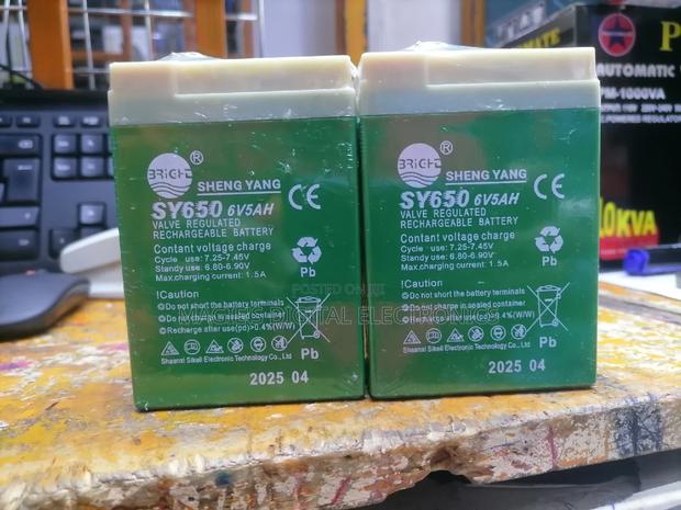Best Quality 6v 5ah Scale Battery