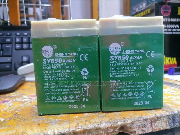 High Standard 5ah 6v Scale Battery