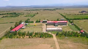 Perfect Piece of Property in Naivasha , 50 by 100,