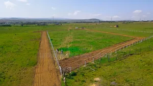 Perfect Piece of Property in Naivasha , 50 by 100,