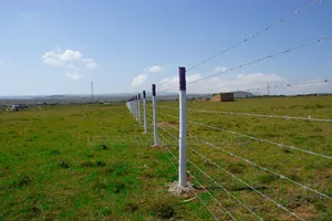 Land Near the Highway, 50 by 100 Ft ,