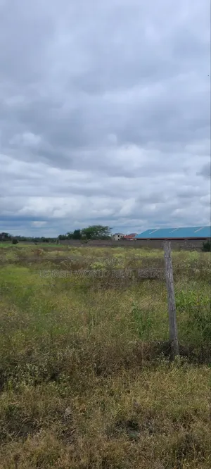 500 Meters From the Highway, Kitengela Plains 2