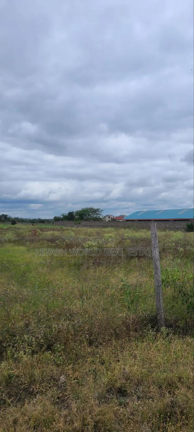 500 Meters From the Highway, Kitengela Plains 2