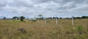 500 Meters From the Highway, Kitengela Plains 2