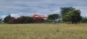 500 Meters From the Highway, Kitengela Plains 2