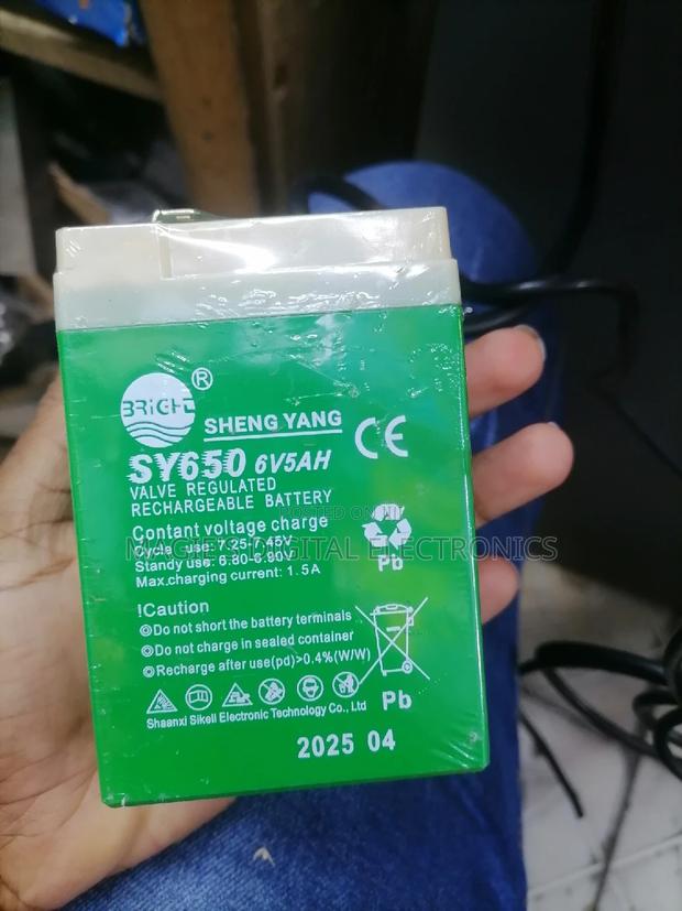 Most Efficient 5ah 6vh Scale Battery