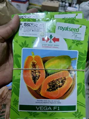 Vega F1 Pawpaw Seeds