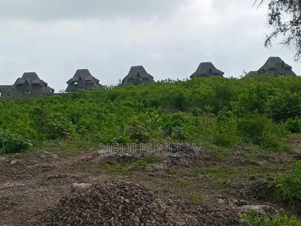 Watamu 2nd Row Beach Plots for Sale - thumbnail 4