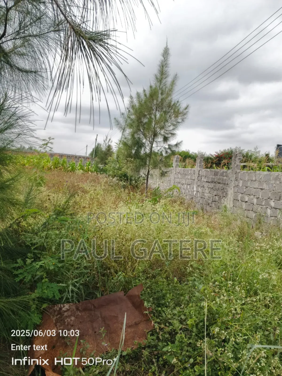 1/4acre Plot