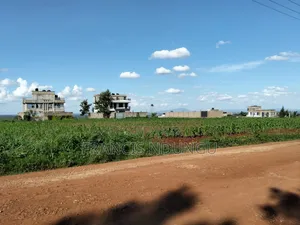Residential Plot for Sale in Kiora Estate Kiambu Town.