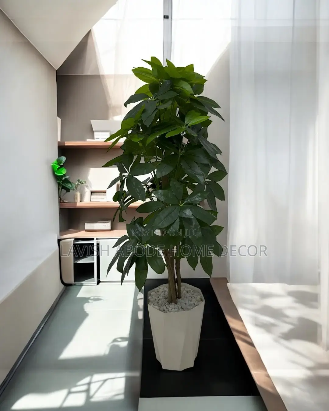 Large Artificial Mango Indoor / Outdoor Plant for Decor