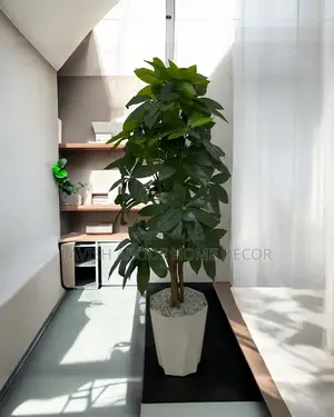 Large Artificial Mango Indoor / Outdoor Plant for Decor
